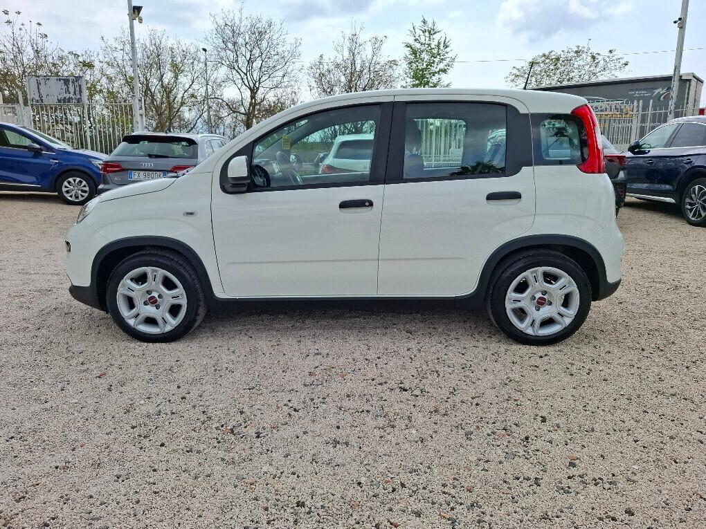 FIAT PANDA 1.0 FIREFLY 70CV CITY LIFE HYBRID-2024