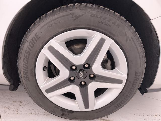 FORD Focus 1.5 ecoblue Business 120cv auto