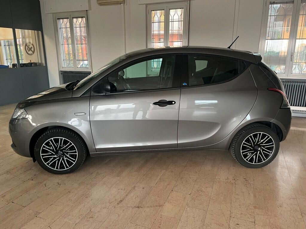 Lancia Ypsilon 1.2 69cv 5p Gpl Ecochic Adatta a Neopatentati