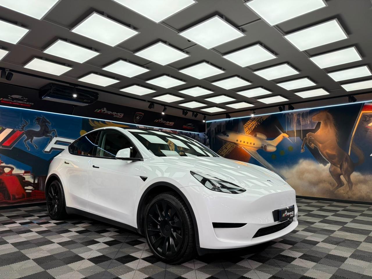 Tesla Model Y RWD (050)