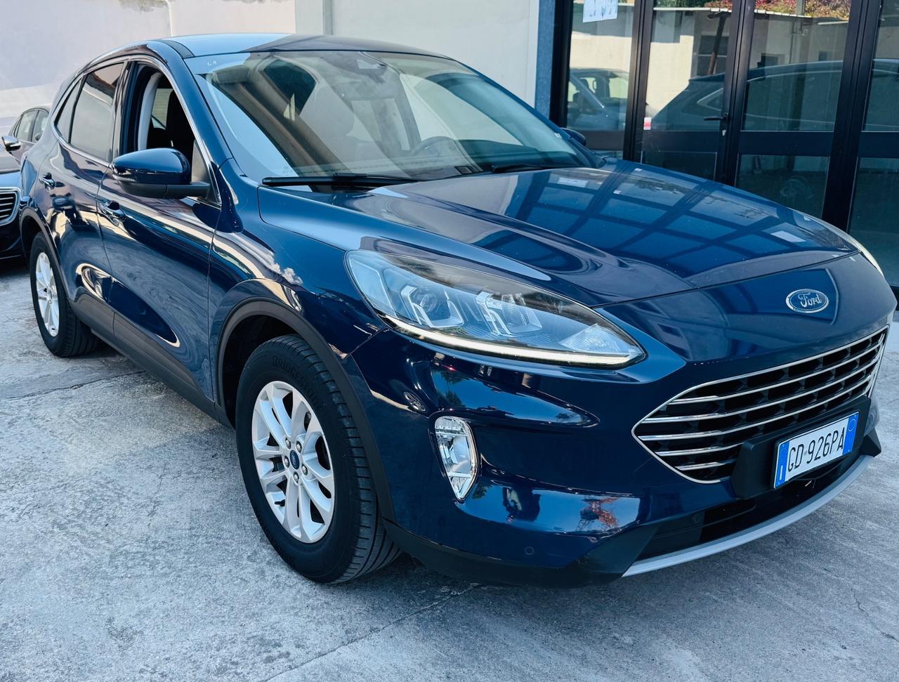 Ford Kuga 1.5 EcoBlue 120 CV 2WD Titanium Business