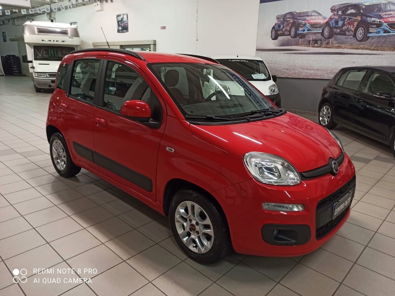 Fiat Panda 1.2 Lounge 69cv Neopatentato