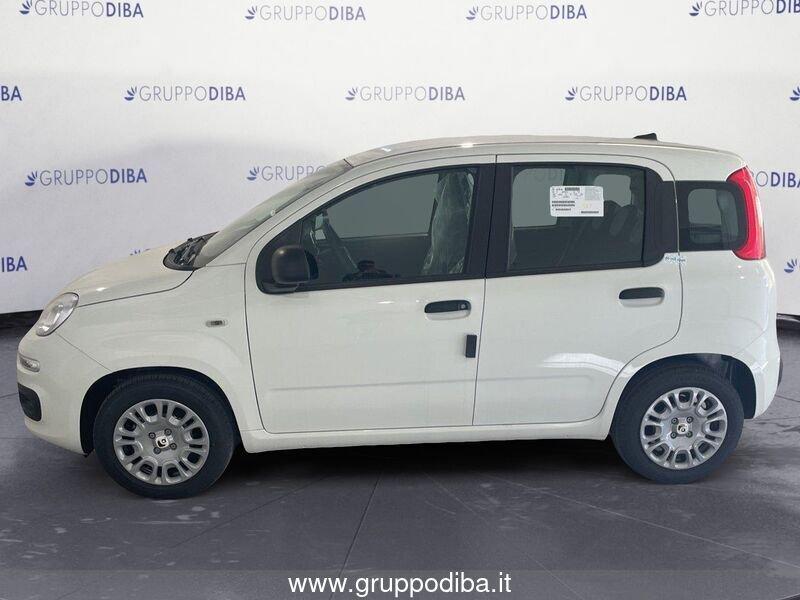 FIAT Panda 1.0 70cv Hybrid Panda