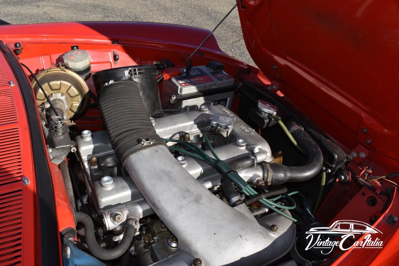 Alfa Romeo Duetto “Osso di Seppia”