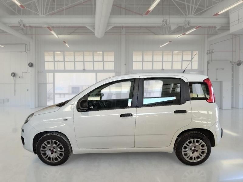FIAT PANDA 1.2 69 CV SES E6D-TEMP EASY 5 PORTE BERLINA