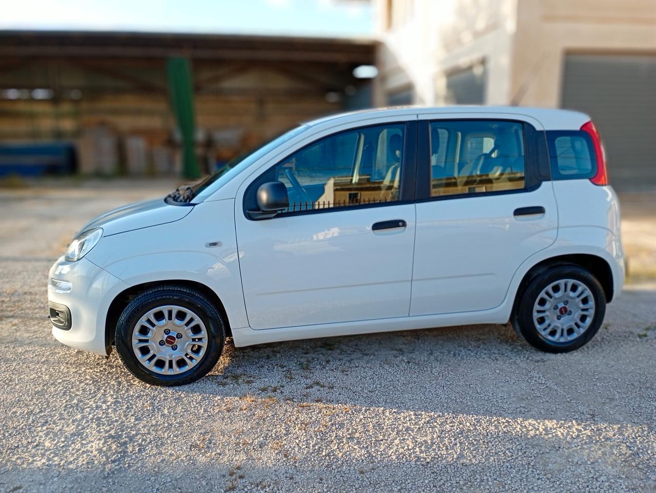 Fiat Panda 1.0 FireFly S&S Hybrid Pandina