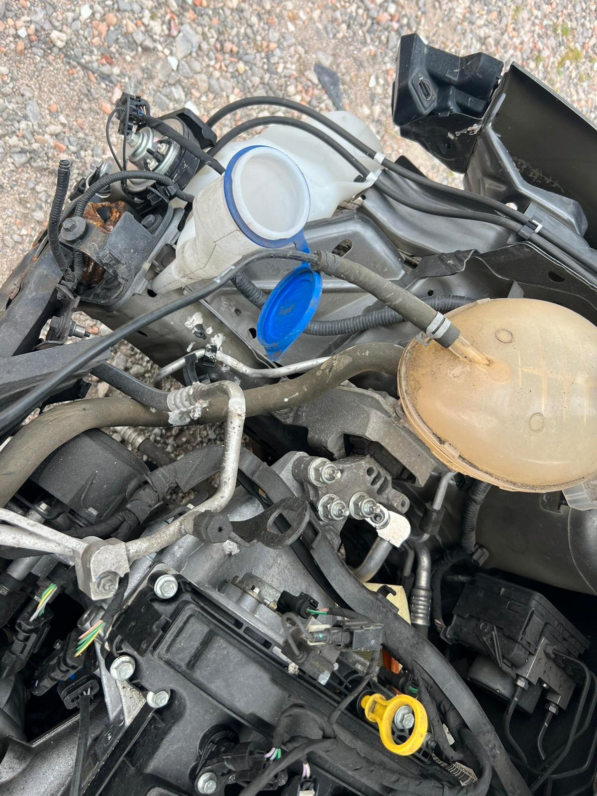 Ford Fiesta 1.1 75 CV GPL 5 porte Plus