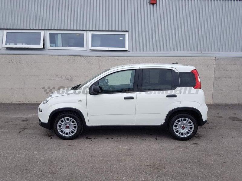 FIAT Panda Van My23 1.0 Hybrid S&S 70cv E6.4 - 2 Posti