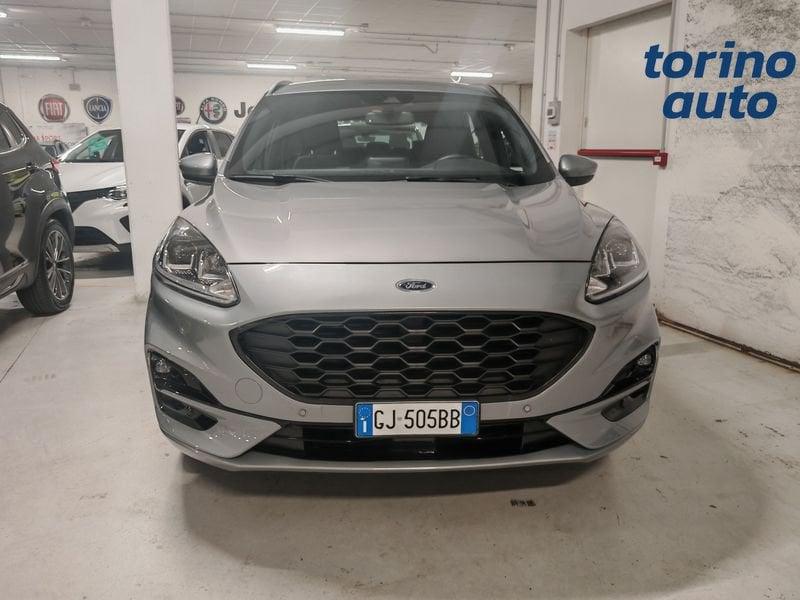 Ford Kuga Kuga 1.5 EcoBlue 120 CV 2WD ST-Line