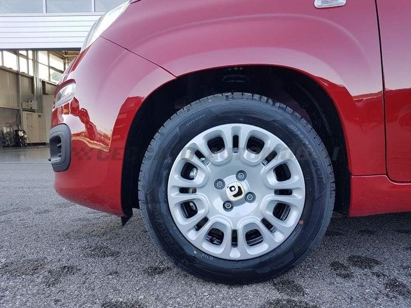 FIAT Panda Panda 1.0 70cv Hybrid Icon