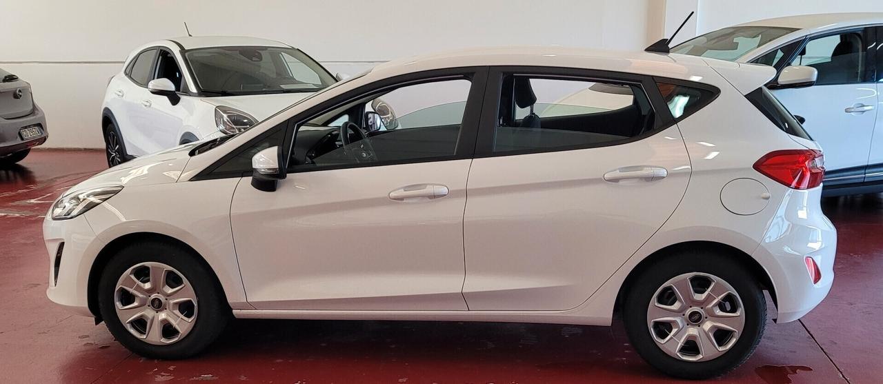 Ford Fiesta 1.5 EcoBlue 5 porte Business