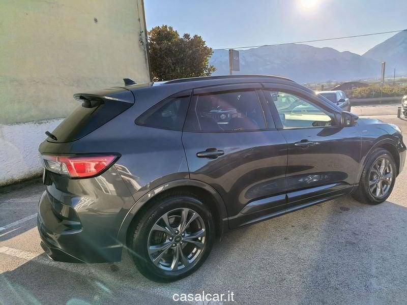Ford Kuga Kuga 2.0 EcoBlue 190 CV aut. AWD ST-Line X GARANZIA FINO A 24 MESI DI GARANZIA