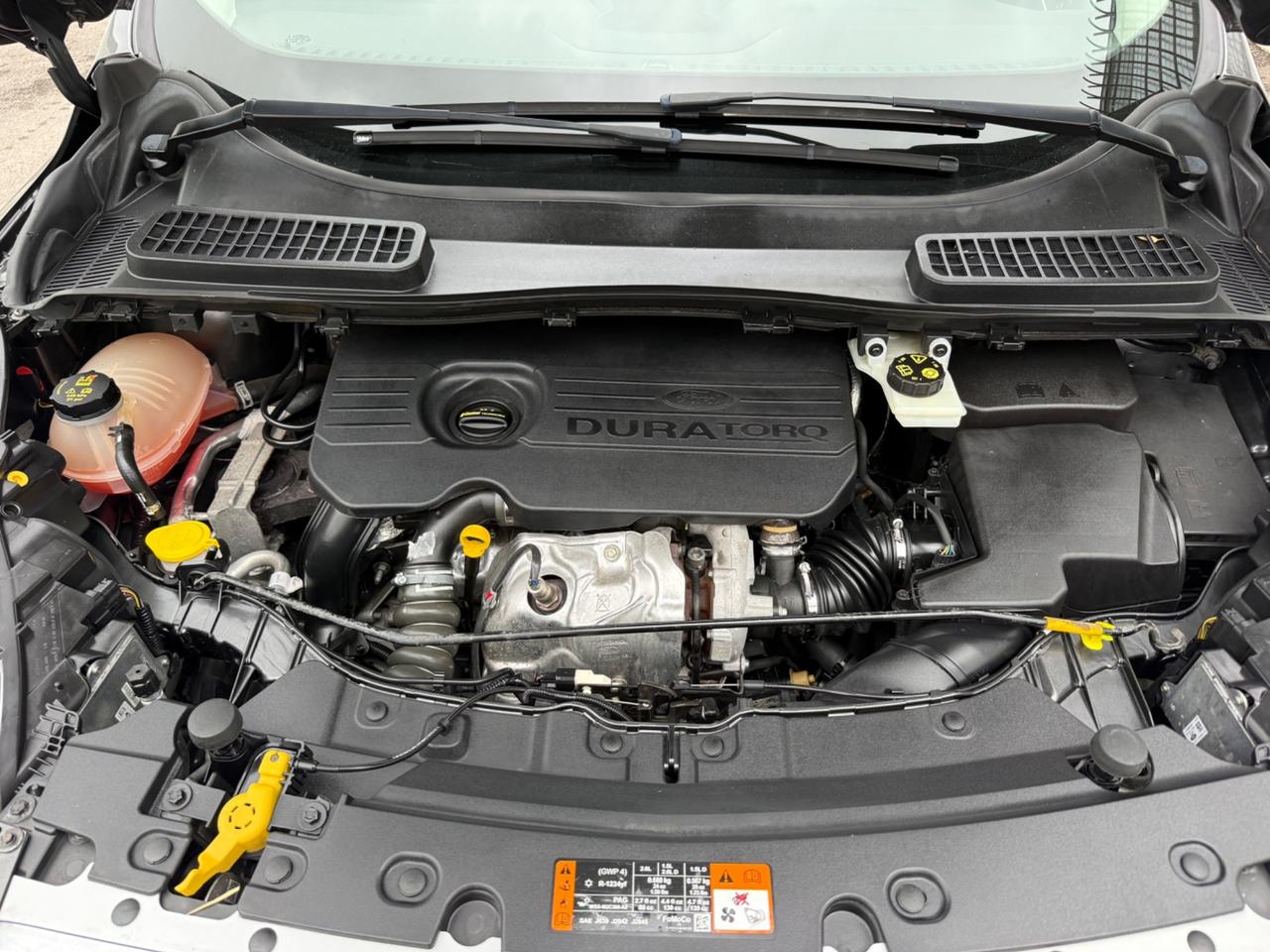 Ford Kuga 1.5 TDCI 120 CV Cambio Automatico
