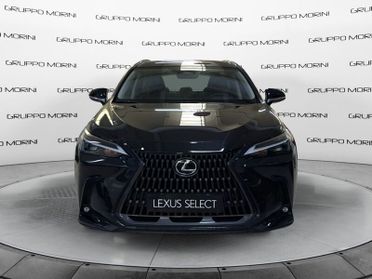 Lexus NX Hybrid Business 4WD