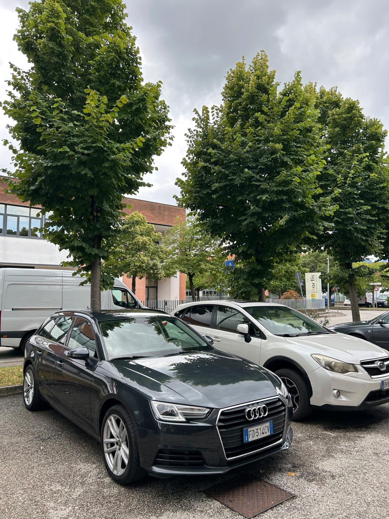 Audi A4 Avant 2.0 TDI 150 CV ultra S tronic Business Sport