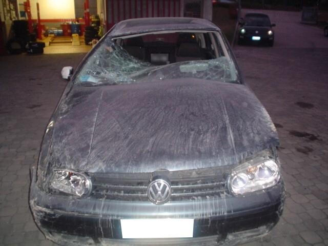 Volkswagen Golf IV 1.9 TDI 110CV 5p. Highline