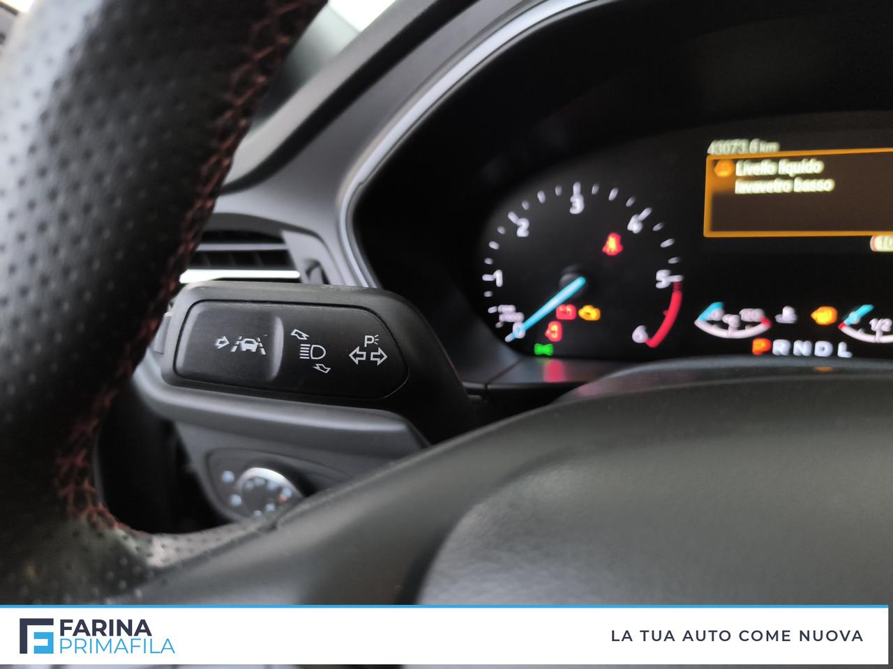 FORD Focus V 2022 - Focus 1.5 ecoblue ST-Line 120cv auto