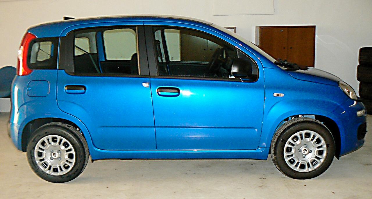 Fiat Panda 1.0 FireFly S&S Hybrid - n101094