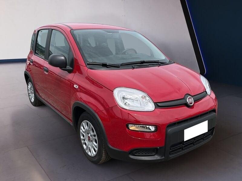 FIAT Panda My24 1.0 70cv Hybrid Panda
