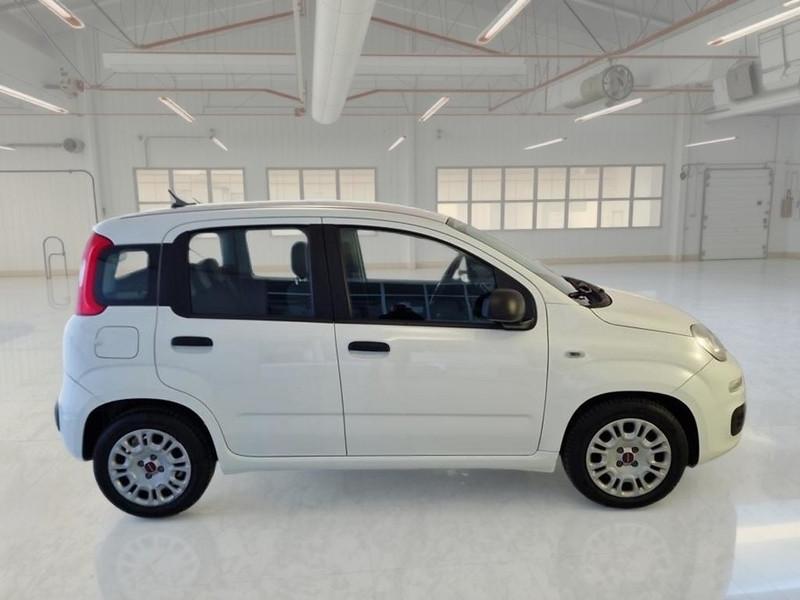 FIAT PANDA 1.0 70cv S/S Hybrid E6d-T Easy 5 PORTE