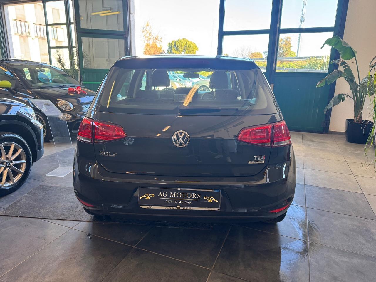 Volkswagen Golf Business 1.6 TDI 5p. Comfortline BlueMotion Technology