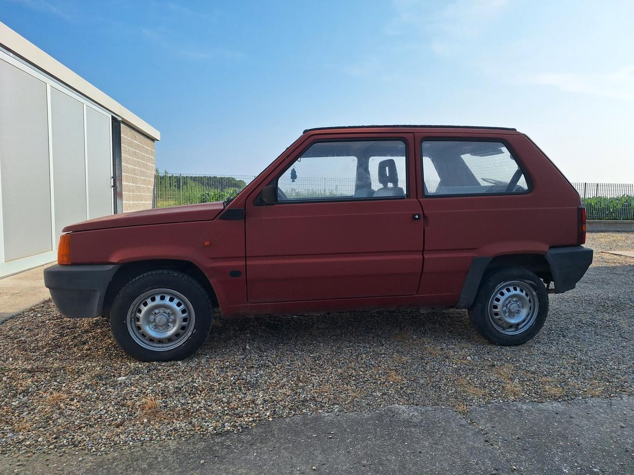 Fiat Panda 1100 i.e. cat Young
