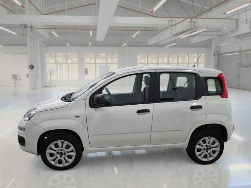 FIAT PANDA 0.9 TwinAir Turbo Natural P. E6d-T Easy 5 PORTE