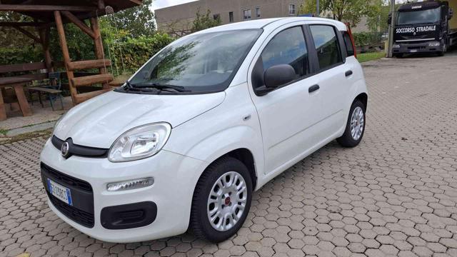 FIAT Panda 1.2 BENZINA ANNO 2015