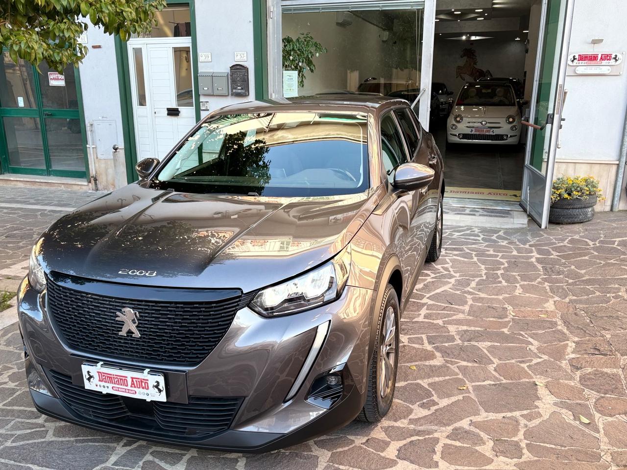 Peugeot 2008 BlueHDi 110 Active FULL LED/NAV/CAM