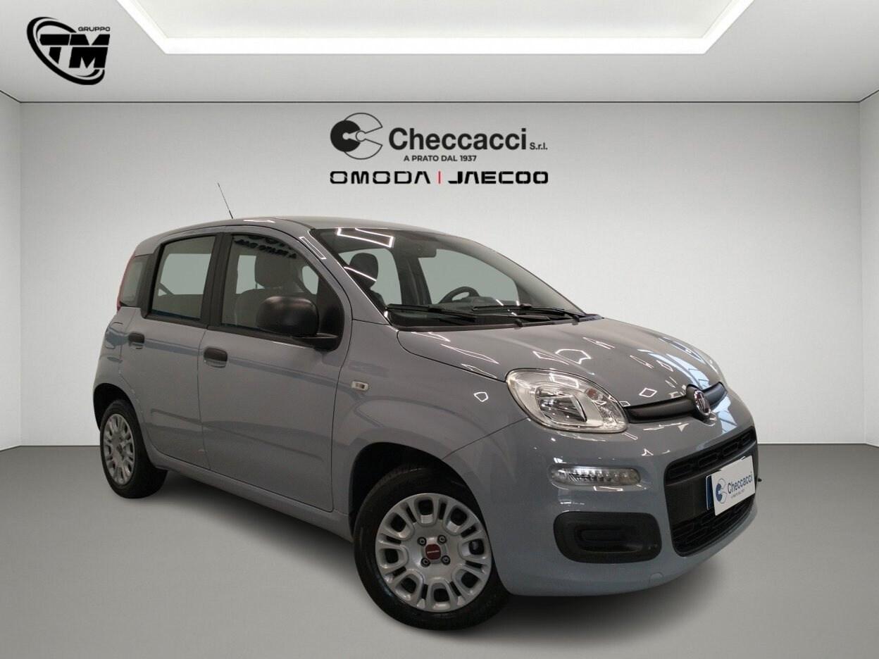 FIAT Panda 3ª serie Panda 1.0 FireFly S&S Hybrid