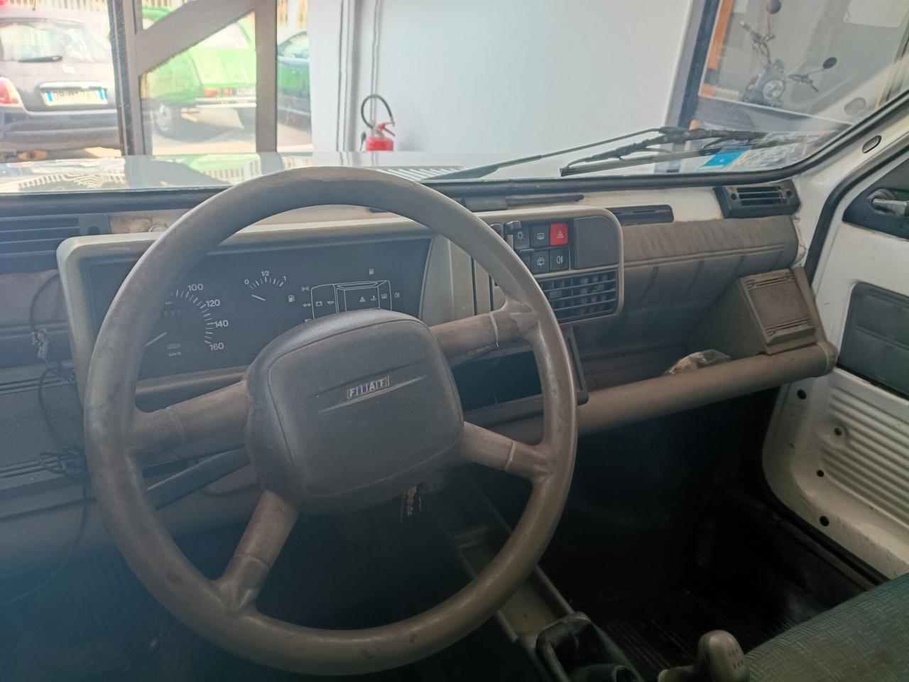 Panda 1100 i.e. cat Young 2001