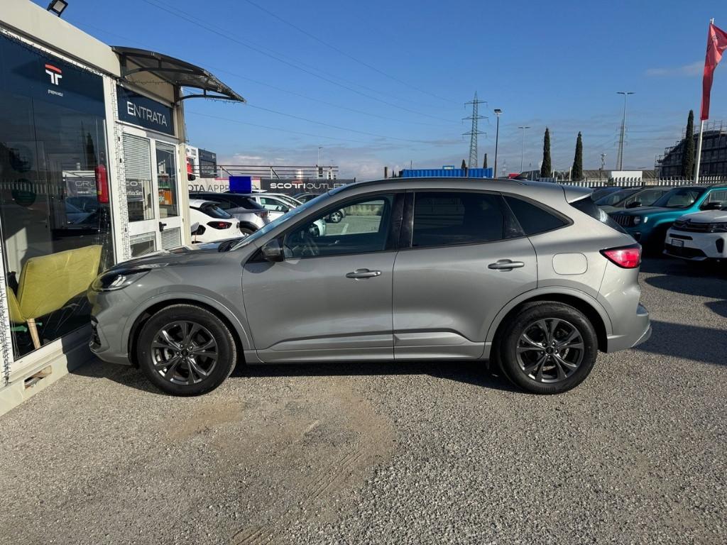 FORD Kuga 3ª serie - Kuga 1.5 EcoBoost 150 CV 2WD ST-Line