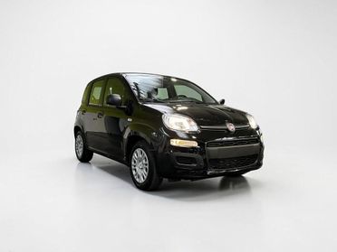 Fiat Pandina 1.0 FireFly Hybrid Icon