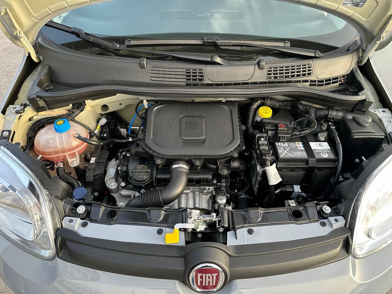 Fiat Panda 2022 1.0 FireFly ibrida/benzina 13.000 KM