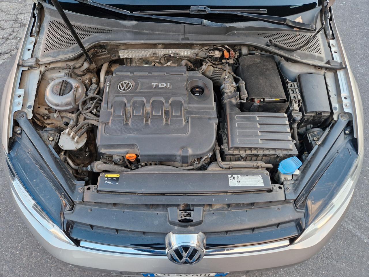 Volkswagen Golf Business 1.6 TDI 5p. 4MOTION Highline BlueMotion Tech.