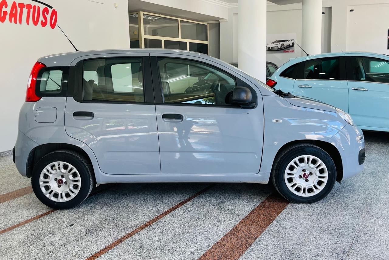 Fiat Panda 1.2 benzina 69cv anno 2018 italiana