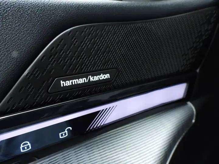 BMW 530 530e xDrive Touring Msport/H-Kardon/Panoramico