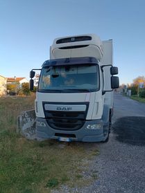 Autocarro Daf LF 55.310 18 tonnellate frigo 2016