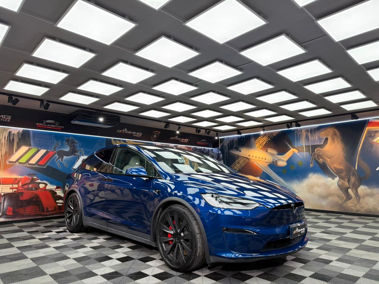 Tesla Model X Plaid (022)