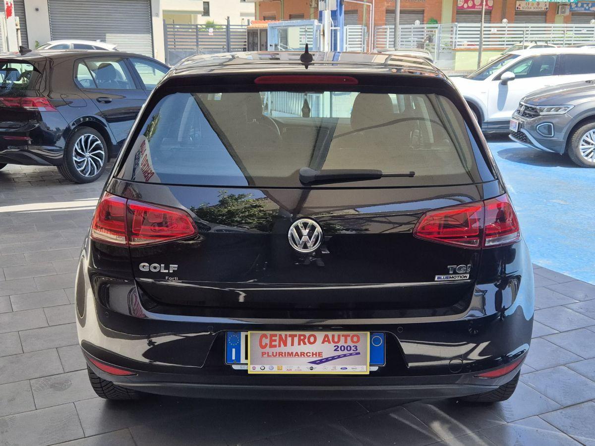 VOLKSWAGEN - Golf - 1.4 TGI DSG 5p. Highline BlueMotion