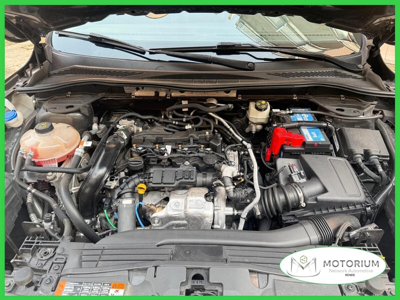 Ford Kuga 1.5 EcoBlue 120 CV 2WD Titanium