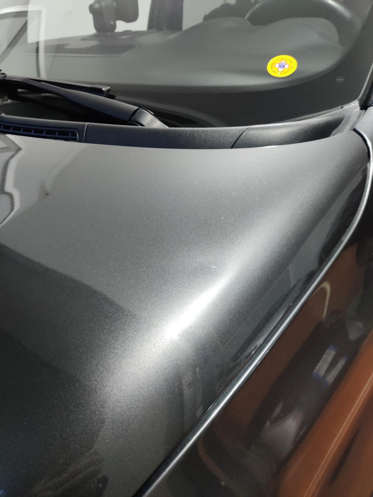 Fiat Panda Cross 1.3 MJT 95 CV S&S 4x4