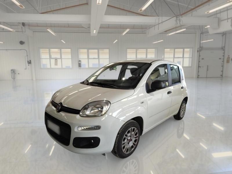 FIAT PANDA 1.2 69 CV SES E6D-TEMP EASY 5 PORTE BERLINA