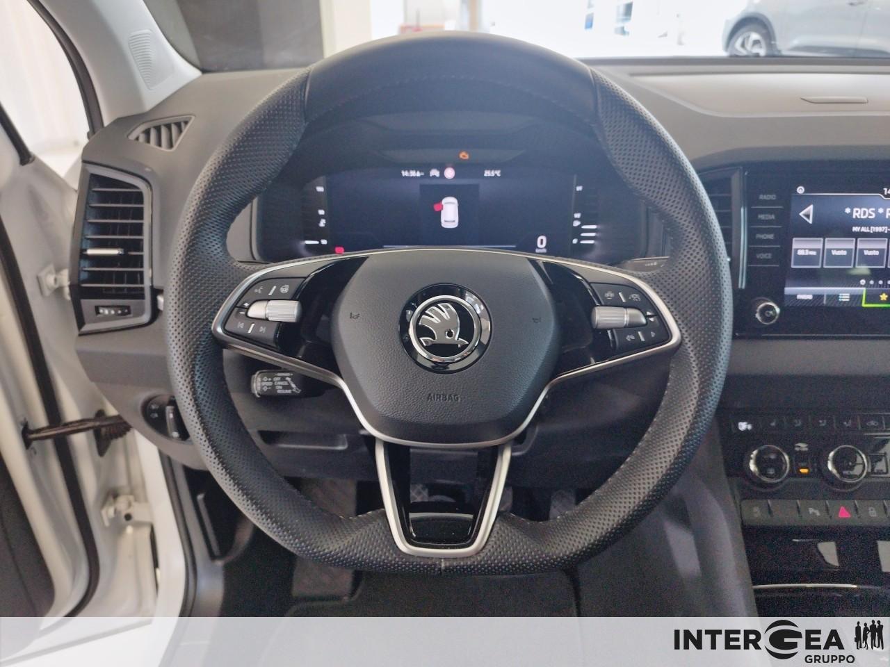 SKODA Karoq 2.0 tdi evo Selection 115cv