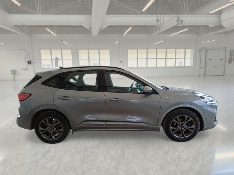 FORD KUGA 1.5 ECOBLUE 120 CV 2WD ST-LINE AUTO SUV