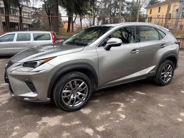 Lexus NX 300h Hybrid 4WD Luxury