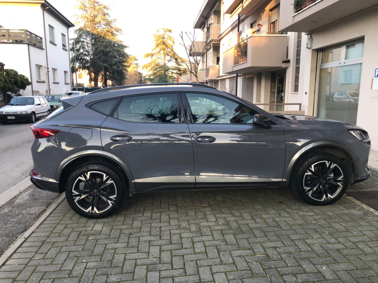 Cupra Formentor 2.0 TDI 4Drive DSG