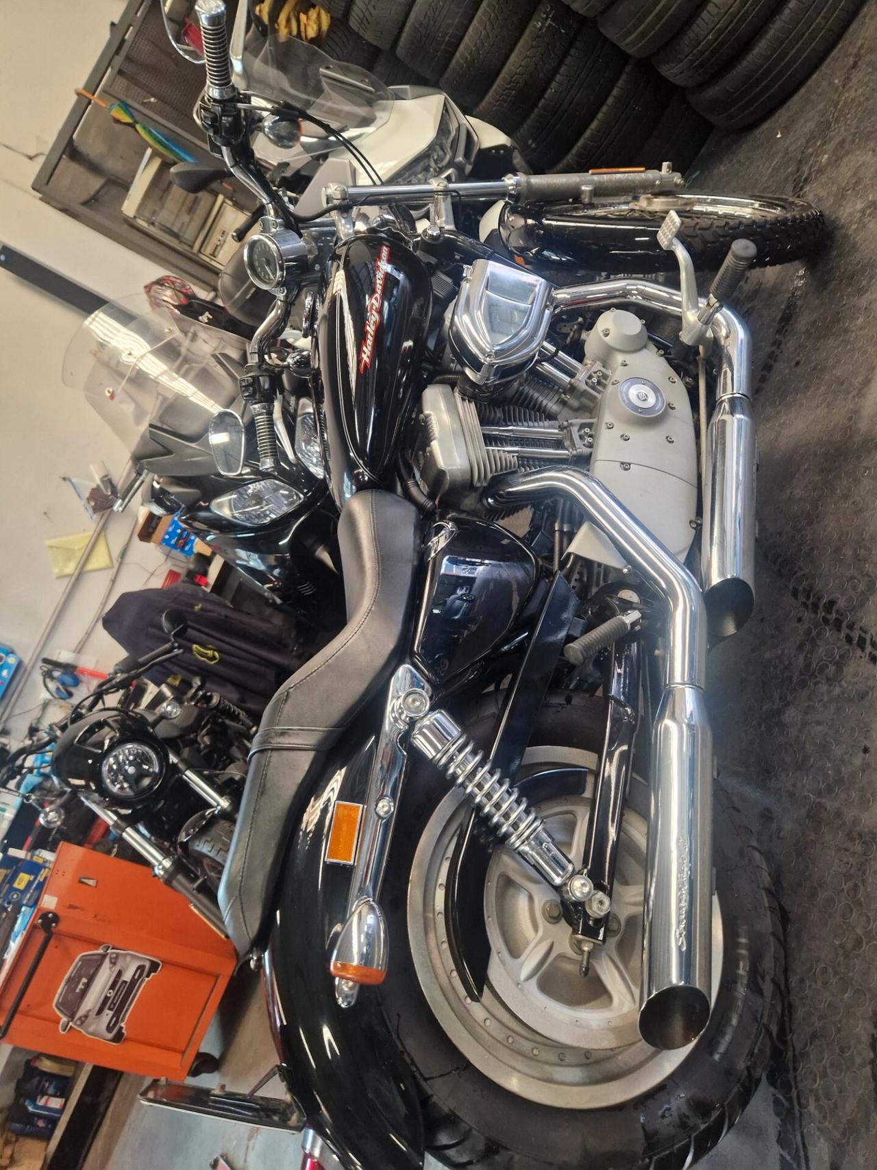 - XL 883 custom solo 14000km tagliando completo appena fatto