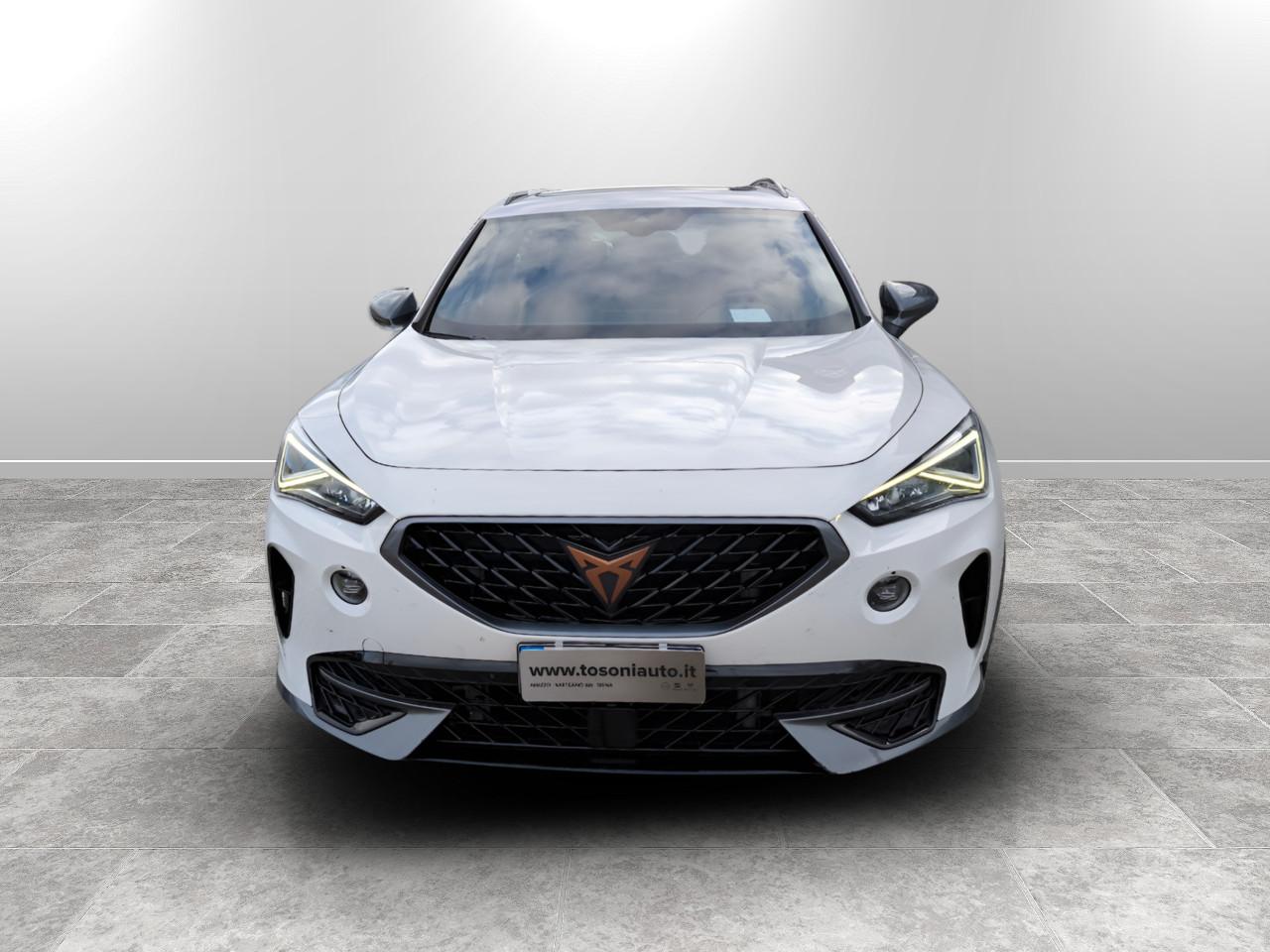 CUPRA Formentor 2.0 tdi 4drive dsg