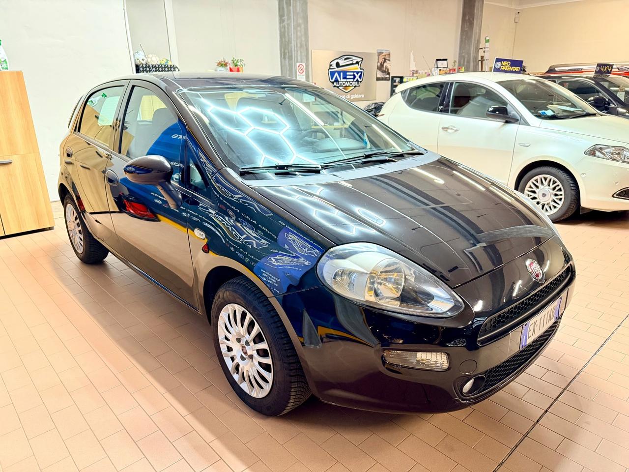 Fiat Punto Evo 1.2 benz 69cv Neopatentati E6